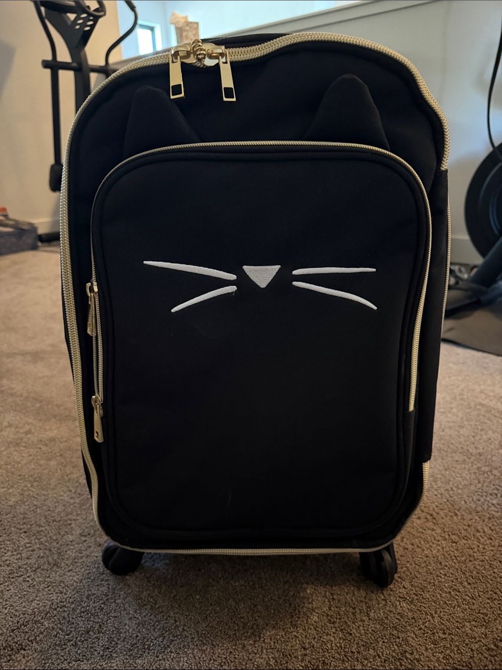 Pottery Barn Teen Black Cat Face Rolling Carry-On with Gold Trim